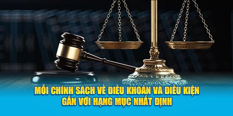 Mỗi chính sách về điều khoản và điều kiện gắn với hạng mục nhất định